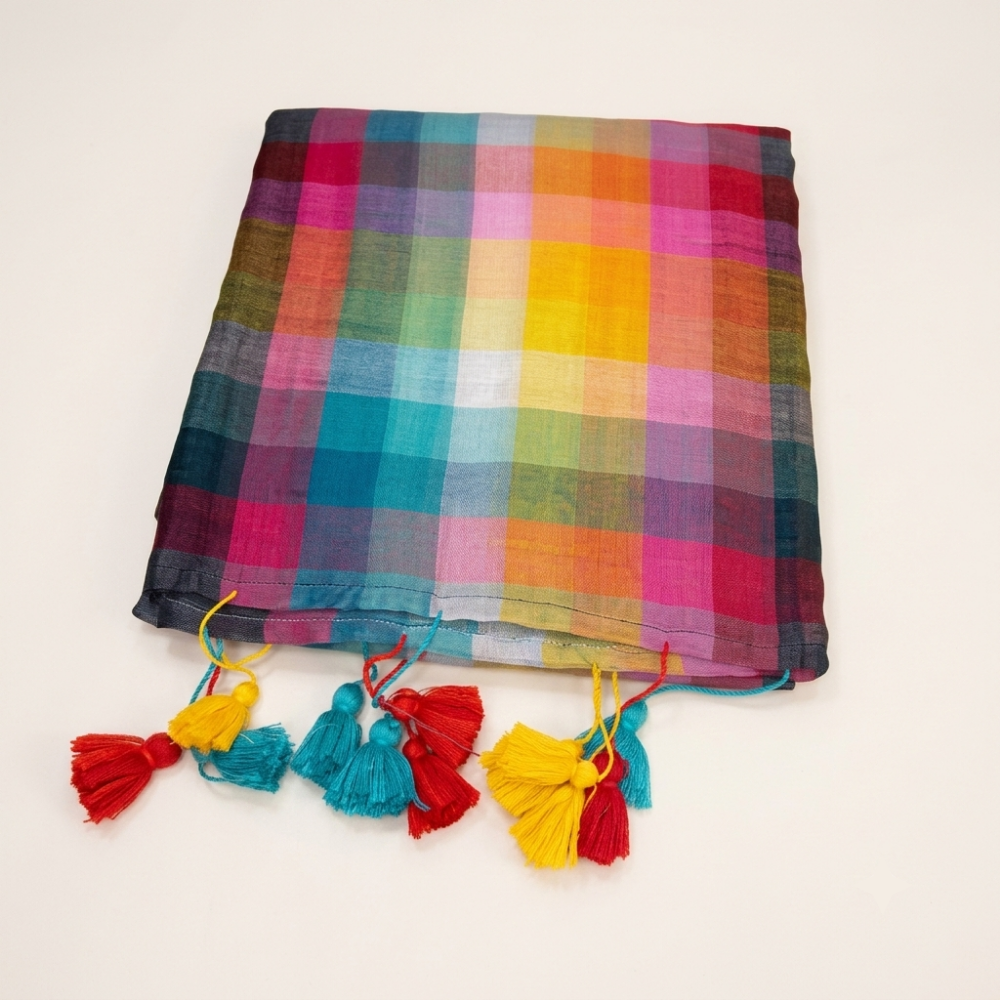 Multicolor Rainbow Stripe & Checkered Handloom Mul Cotton Saree